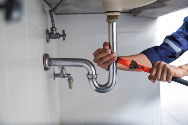 Best Local Plumber Services  in Lincolnshire, IL